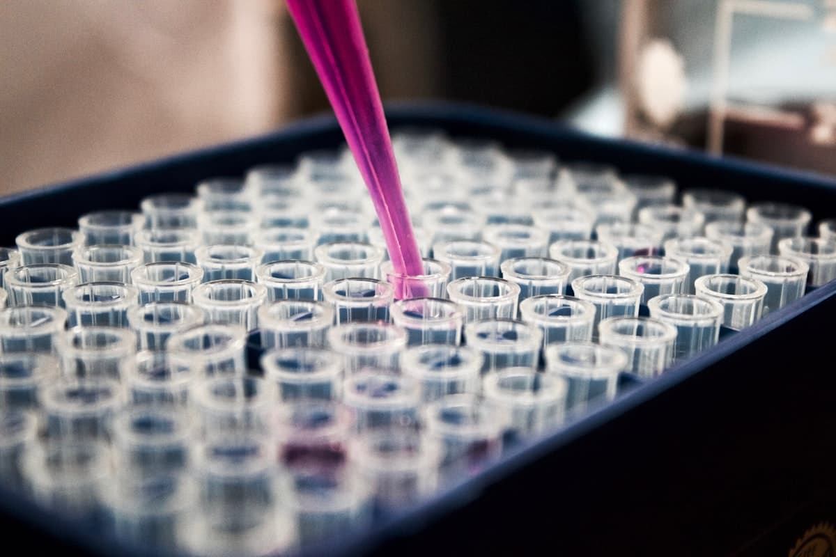 Understanding ICH Guidelines: Key Takeaways for Medical Writers