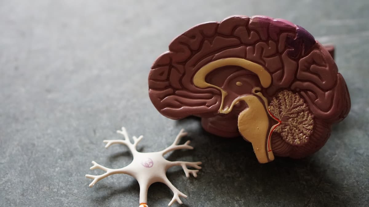 DSUR for Neurological Disease Treatment documentation